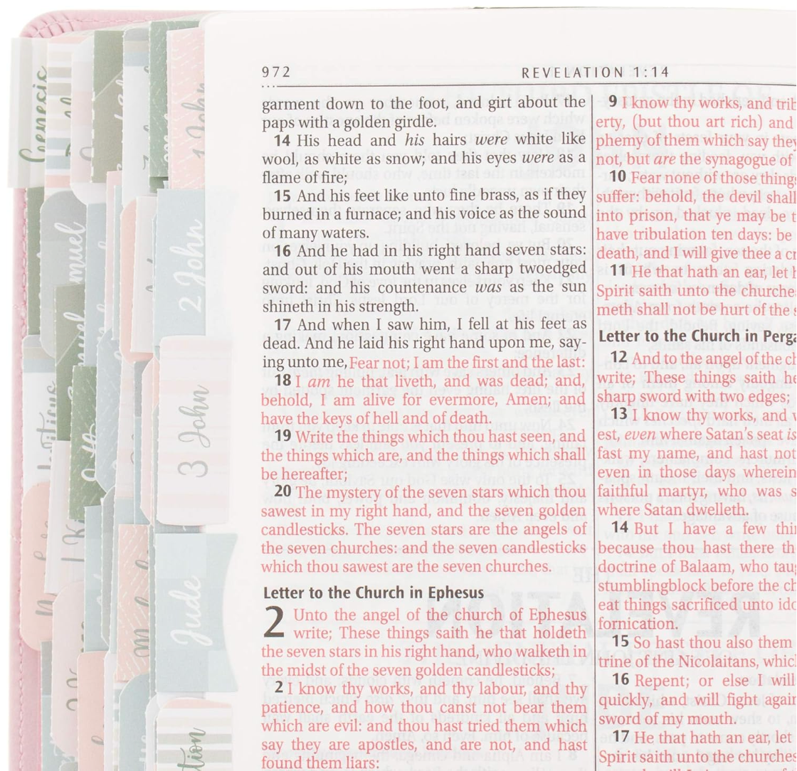 Books of the Bible Tabs - Pink and Gray