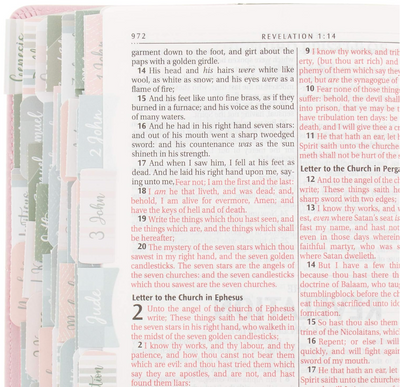 Books of the Bible Tabs - Pink and Gray