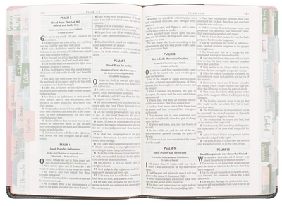 Books of the Bible Tabs - Pink and Gray