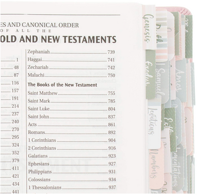 Books of the Bible Tabs - Pink and Gray