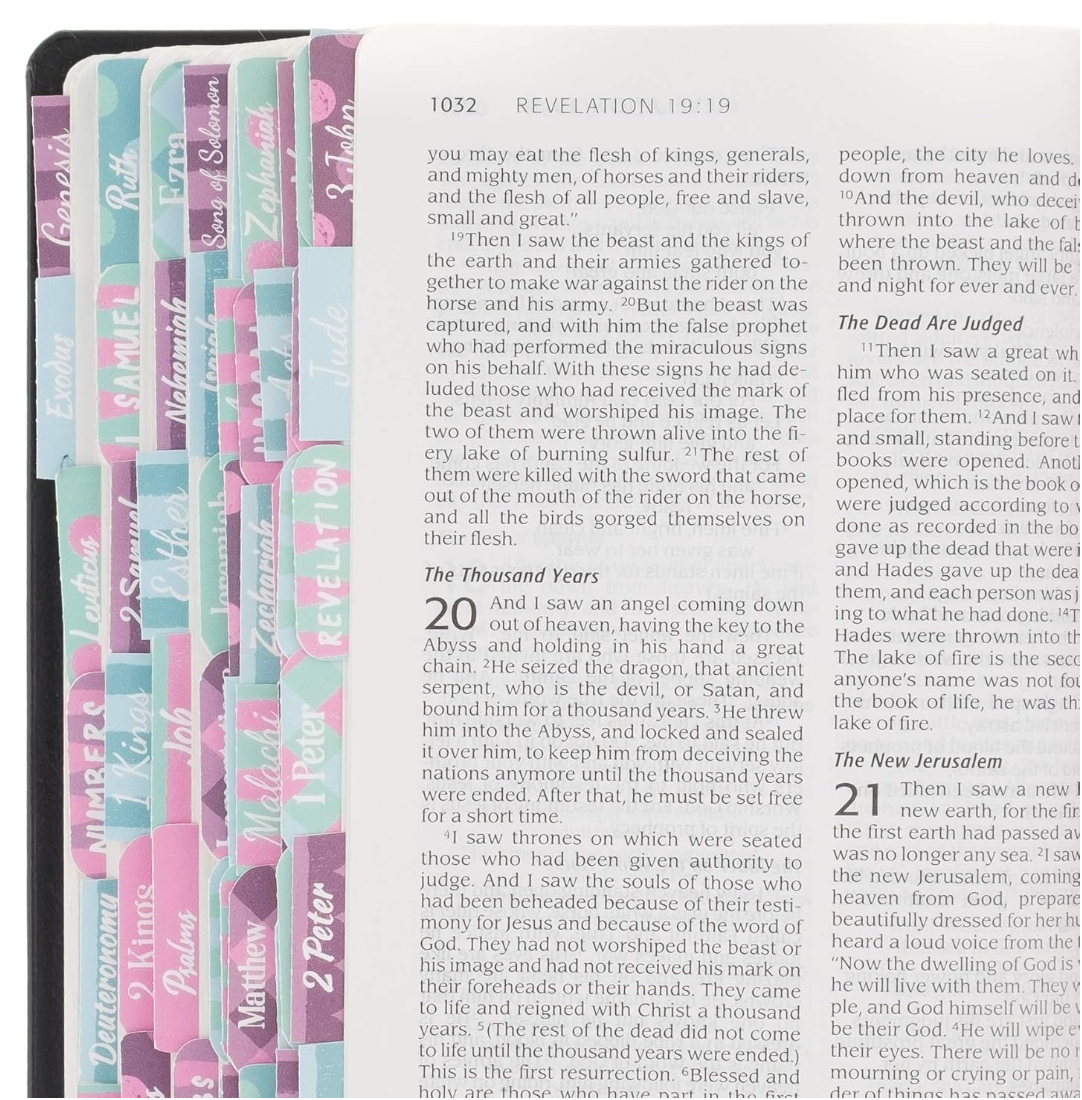 Books of the Bible Tabs - Multicolor