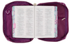 Books of the Bible Tabs - Multicolor