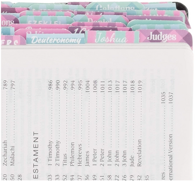 Books of the Bible Tabs - Multicolor