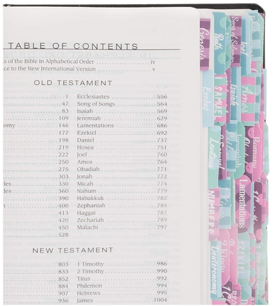 Books of the Bible Tabs - Multicolor